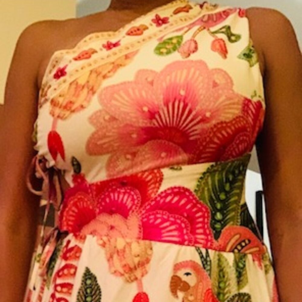 Robe Farm Rio, collection Brésil